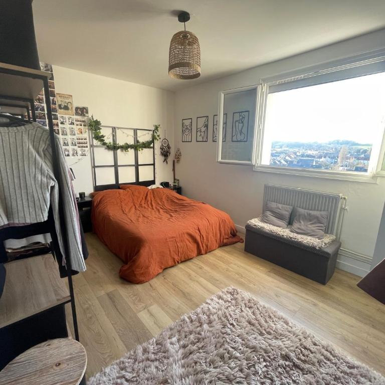 Appartement T2 Tram direct Circuit 24H - Appartamento con 1 Camera da Letto - 2