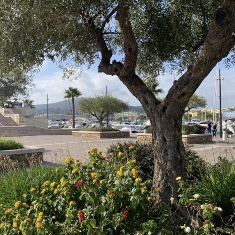 PRECO 459 SAINTE MAXIME Studio cabine 4 couchages Piscine et parking - Apartment mit 1 Schlafzimmer und Balkon - 21
