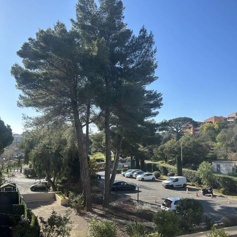 PRECO 459 SAINTE MAXIME Studio cabine 4 couchages Piscine et parking - Apartment mit 1 Schlafzimmer und Balkon - 16