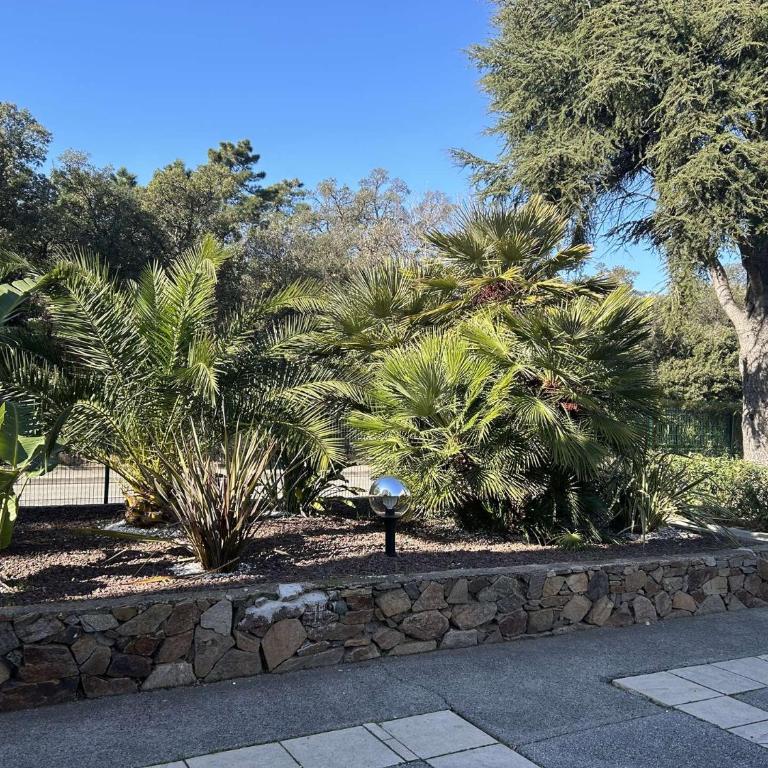 PRECO 459 SAINTE MAXIME Studio cabine 4 couchages Piscine et parking - Apartment mit 1 Schlafzimmer und Balkon - 13
