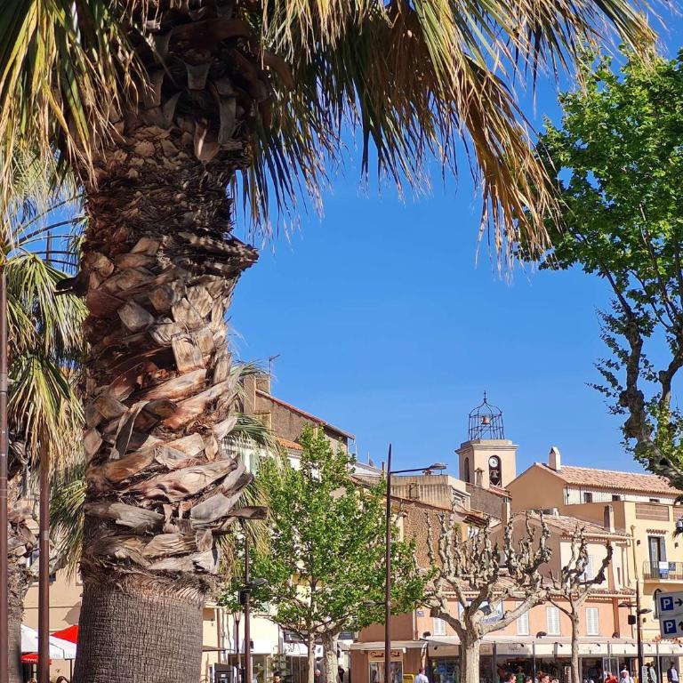 PRECO 459 SAINTE MAXIME Studio cabine 4 couchages Piscine et parking - Apartment mit 1 Schlafzimmer und Balkon - 20