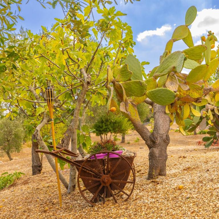 Trullo Happy Sunrise - Casa Vacanze - 43