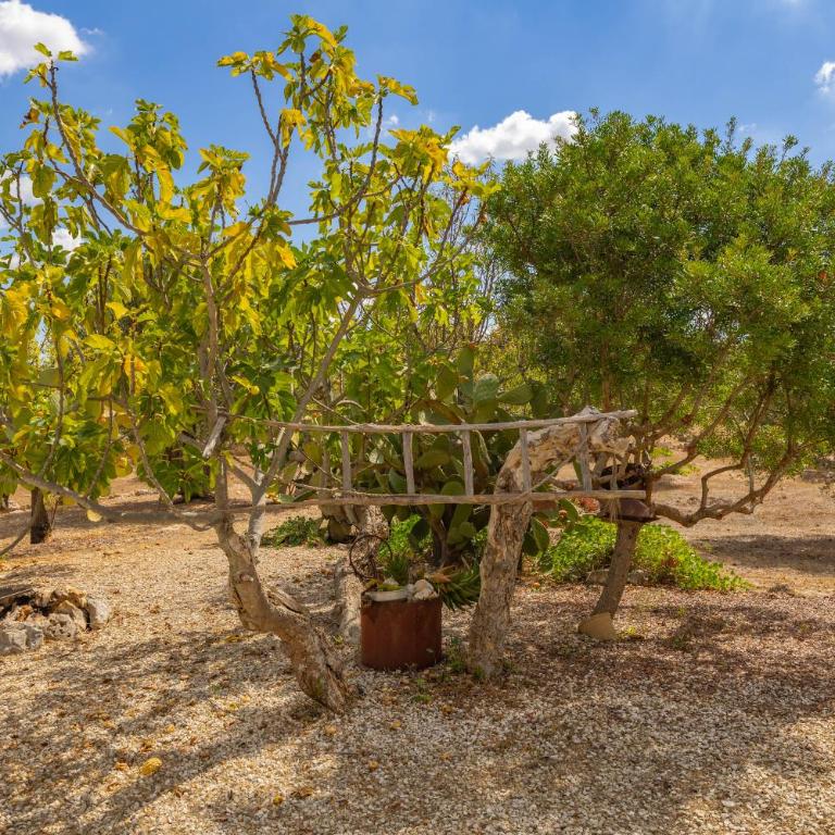 Trullo Happy Sunrise - Casa Vacanze - 45