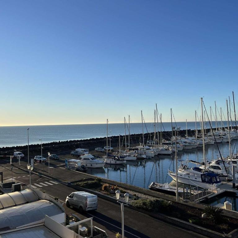 Charmant 2 pièces proche plage, parking, animaux admis - FR-1-702-47 - Appartamento - 15