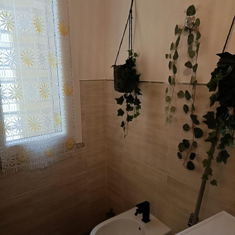 M'illumino d'immenso - MONEGLIA APARTMENTS - Appartamento con 2 Camere da Letto - 21
