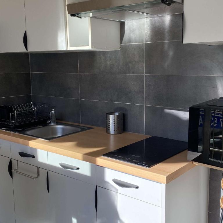 T1 Neuf Climatisé - Balaruc-les-Bains - FR-1-553-319 - Appartement - 3