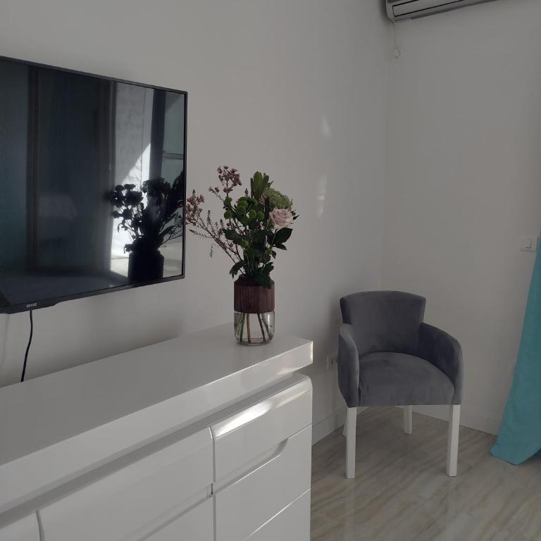 SALT Studio Apartment - One-Bedroom Apartment - 4