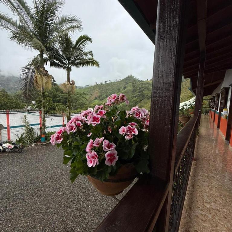 Hotel Dulce Campestre - Standard Double Room - 2