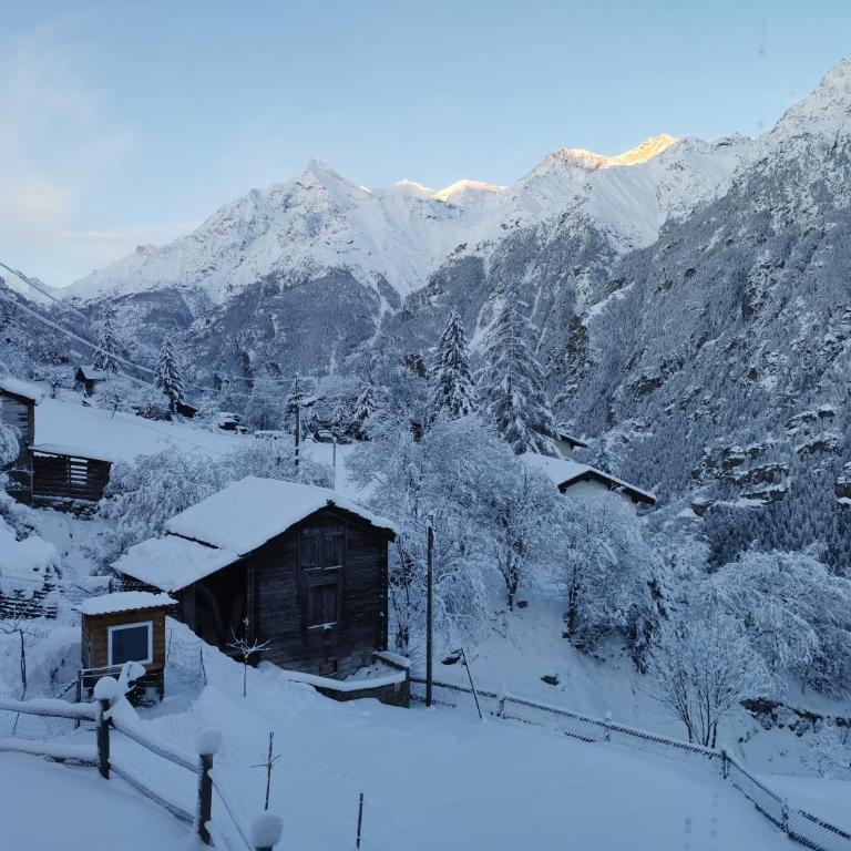 Modernes Studio l Berge l Nähe Zermatt l Grächen - Apartment mit 1 Schlafzimmer - 25