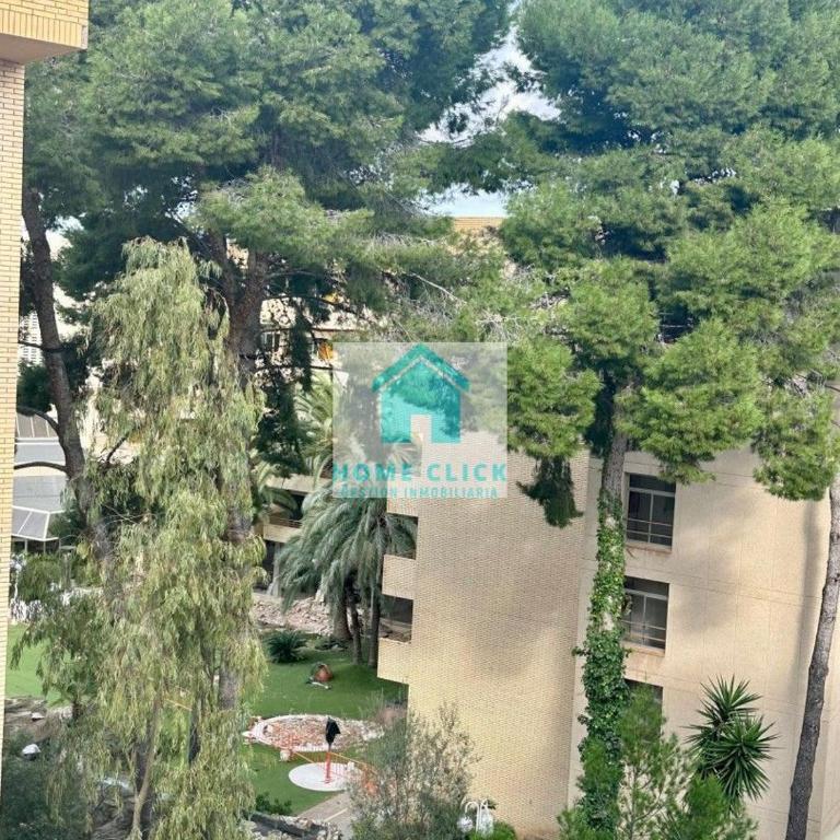 SalouGold - Two-Bedroom Apartment - 12