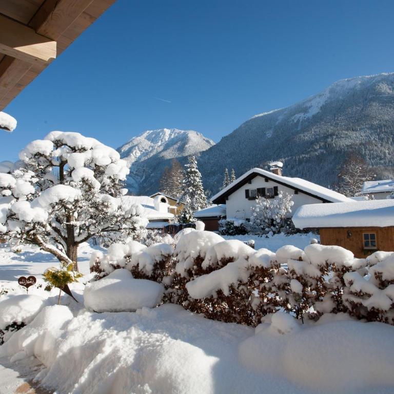 Bergblick - Apartment mit 1 Schlafzimmer - 4