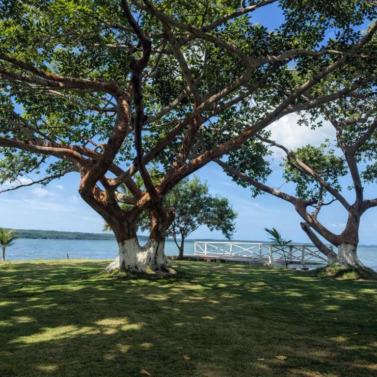 Casa Coral boutique - Villa - Beach Front - 3