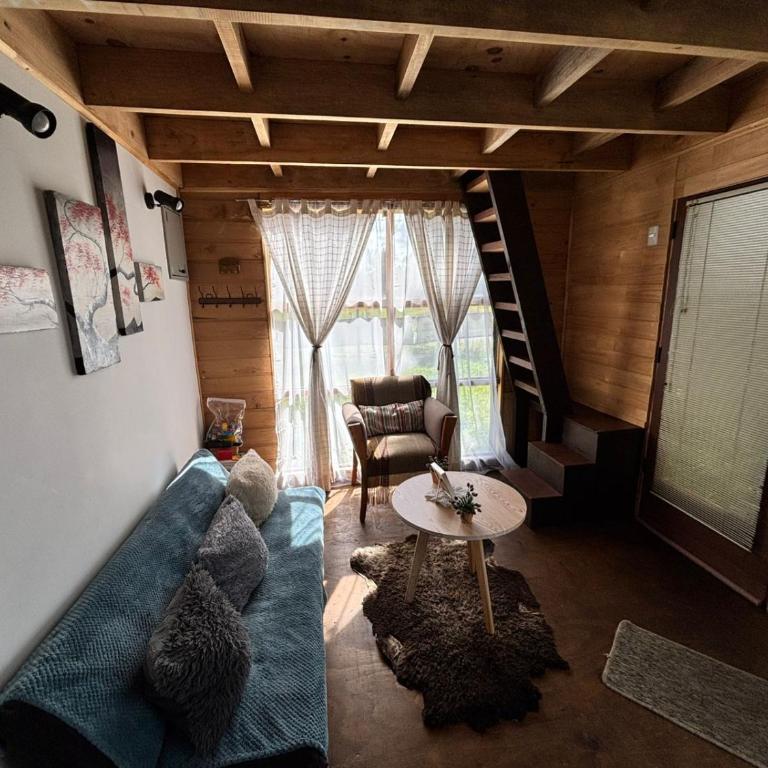 Tiny House, Tiny Black Frutillar - Family Room with Garden View - 10