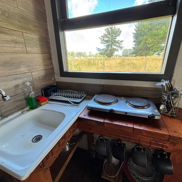 Tiny House, Tiny Black Frutillar - Family Room with Garden View - 13