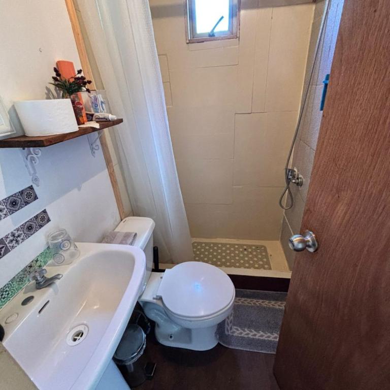 Tiny House, Tiny Black Frutillar - Family Room with Garden View - 21