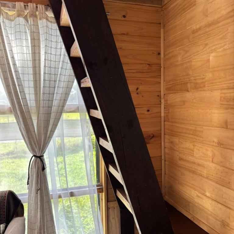 Tiny House, Tiny Black Frutillar - Family Room with Garden View - 23