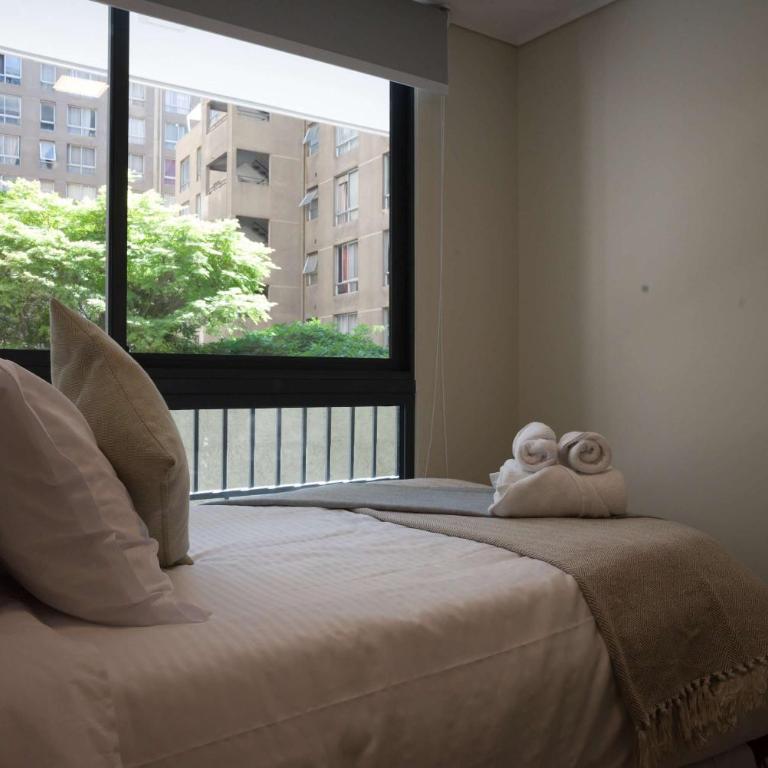 Stylish 2BR Apt in Santiago for 5 Gym Access - Apartment - 12
