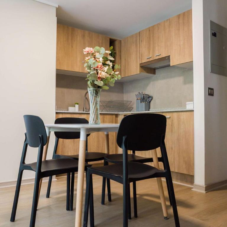 Stylish 2BR Apt in Santiago for 5 Gym Access - Apartment - 13