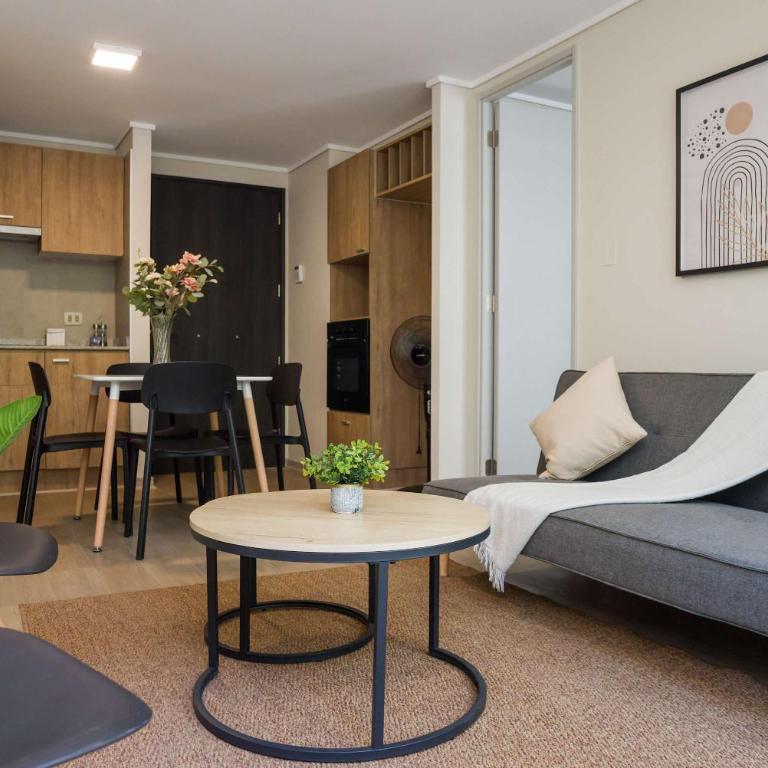 Stylish 2BR Apt in Santiago for 5 Gym Access - Apartment - 20