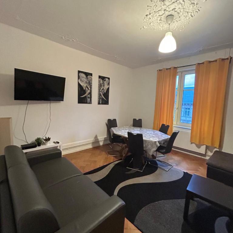 Grand appart confort - Hyper centre - Strasbnb - Appartamento - 1