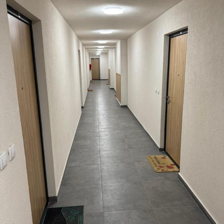 Stan na Dan-Apartman Smile Lukavica - One-Bedroom Apartment - 41