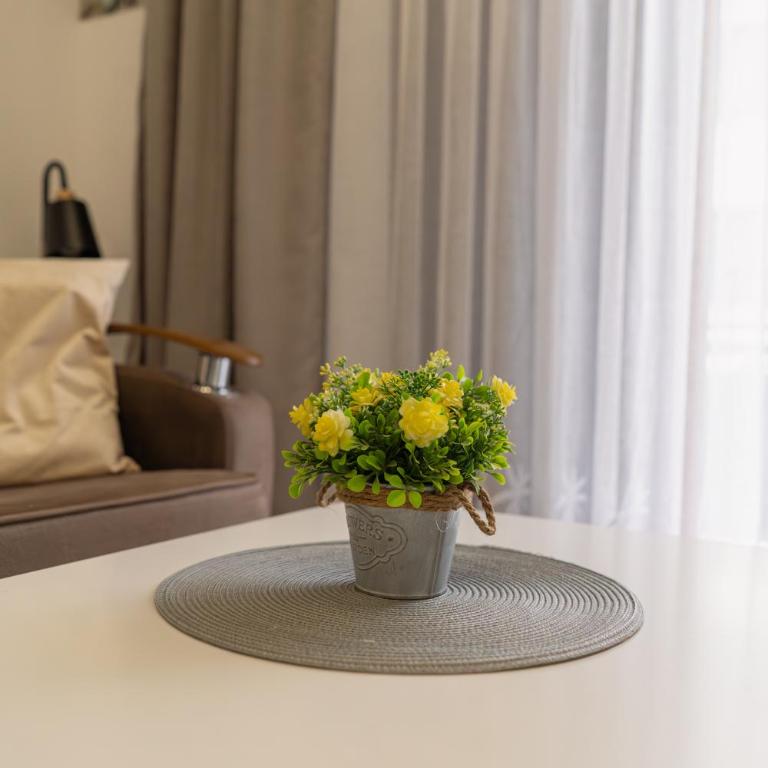 Zlatibor Afrodita 5 - Apartman sa 1 Spavaćom Sobom - 17