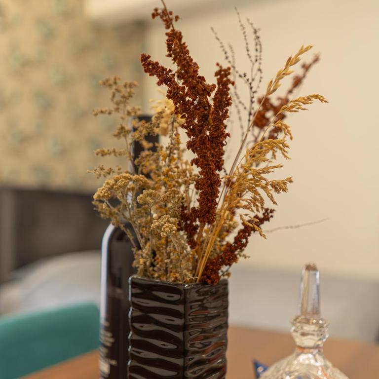 Zlatibor Afrodita 5 - Apartman sa 1 Spavaćom Sobom - 10