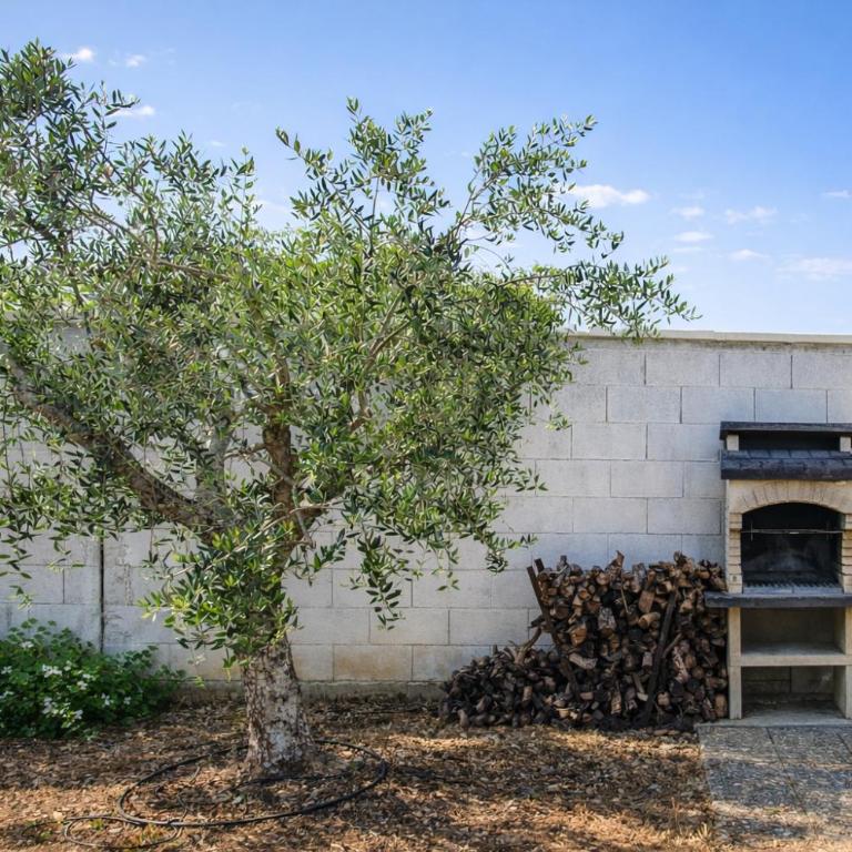 19-85 Tenuta Salentina - Casa a Schiera con 2 Camere da Letto - 38