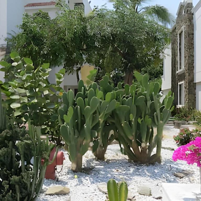 Hermosa y Moderna Casa Frente al Mar WIFi y Kayak - Casa de 4 dormitorios - 58