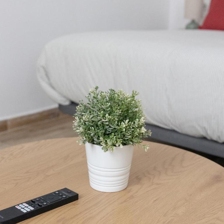 Carrera de Capuchinos Suite - Apartamento de 1 dormitorio - 4