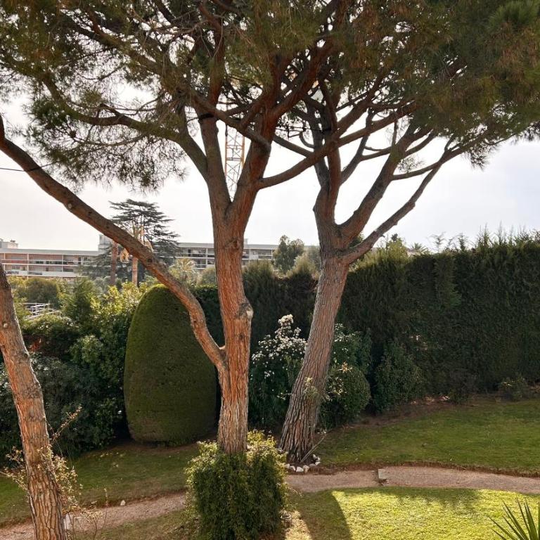 La Pinède - Appartment 3 bedrooms - Appartamento con 3 Camere da Letto - 2