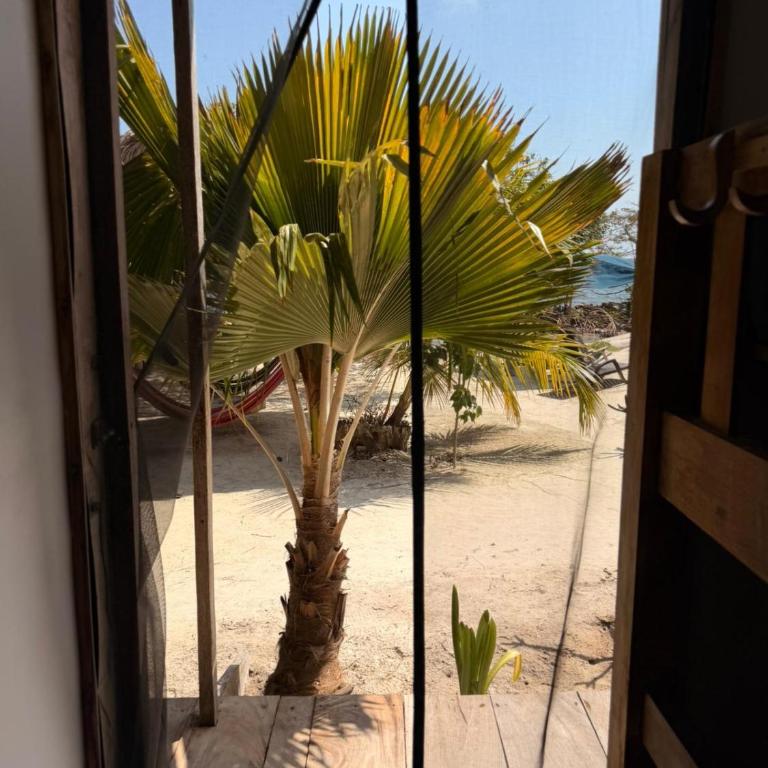 Santa Lova Eco-hostel Isla Tintipan - 8-Bed Mixed Dormitory Room - 12