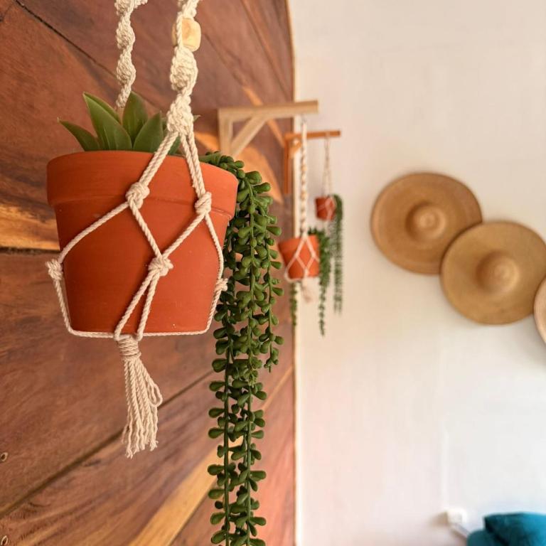 Santa Lova Eco-hostel Isla Tintipan - Double Room - 10