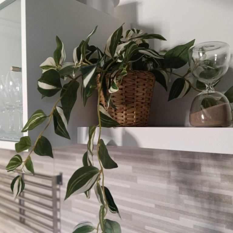 Da GianMa - One-Bedroom Apartment - 5