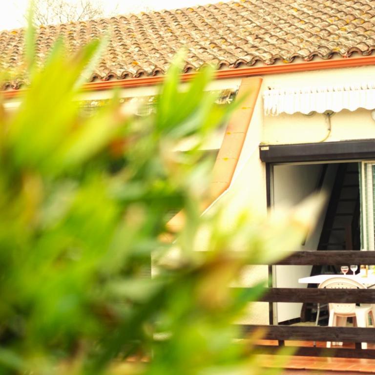 Appartement terrasse Endeavour Argeles sur mer La plage à pieds l'espagne à 30 mn - Apartamento de 1 dormitorio - 8