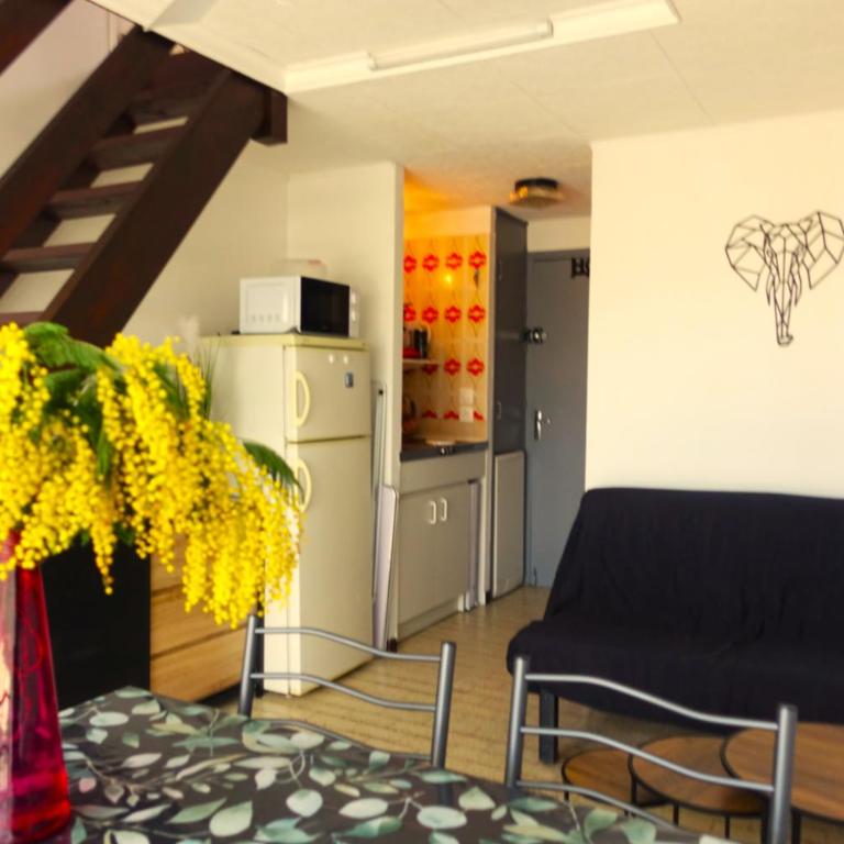 Appartement terrasse Endeavour Argeles sur mer La plage à pieds l'espagne à 30 mn - Apartamento de 1 dormitorio - 13