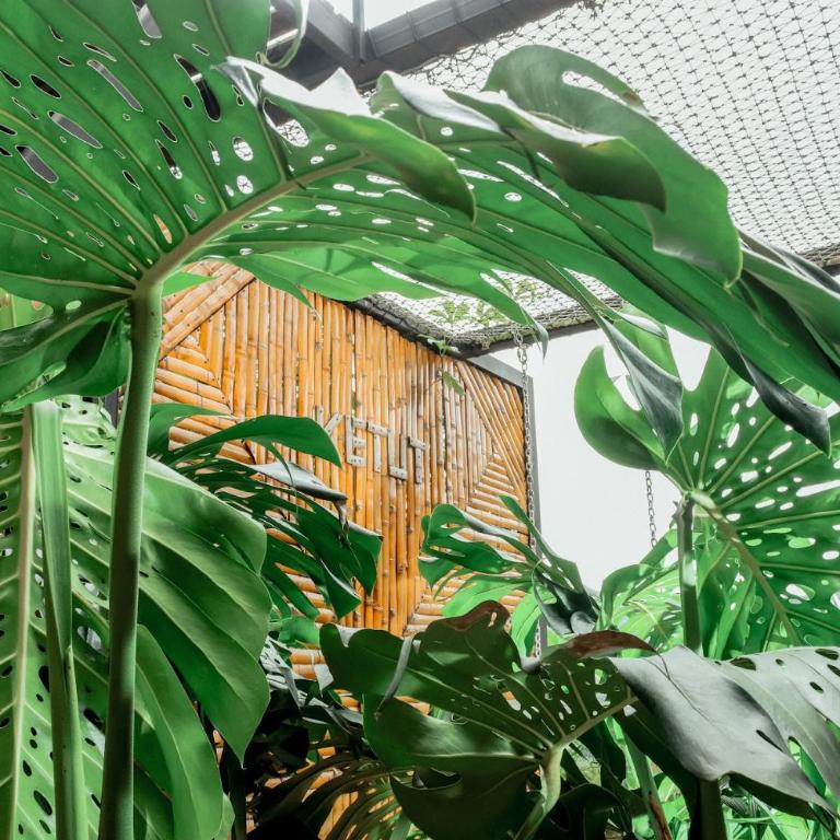 ATTRAVERSIAMO BAMBOO HOUSE - Deluxe Suite - 8