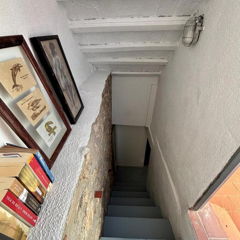 Mediona IV - Apartamento de 1 dormitorio - 15
