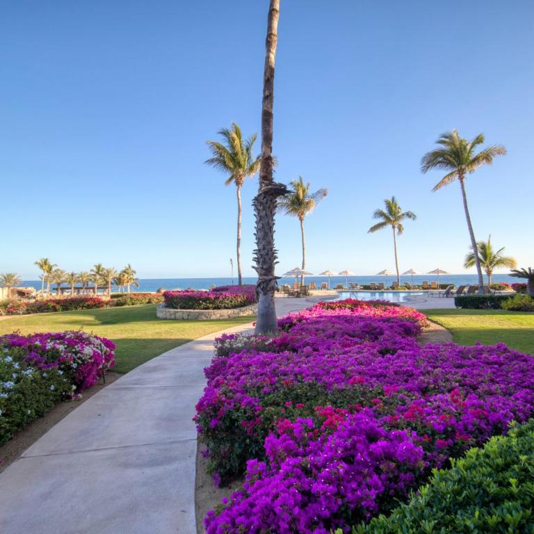Presidential Two Bedroom Suite Ocean View - Casa del Mar - Apartamento de 2 dormitorios - 80