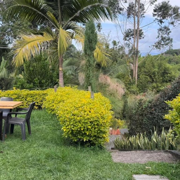 Casa de campo Villa Lisboa - Villa Deluxe - 7
