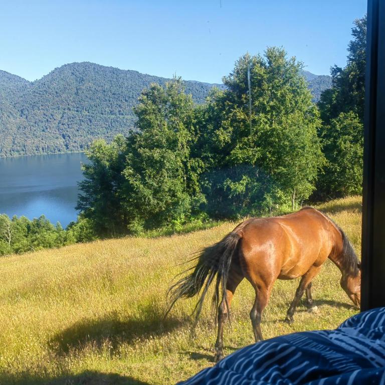 Cabaña7 - One-Bedroom Chalet - 51