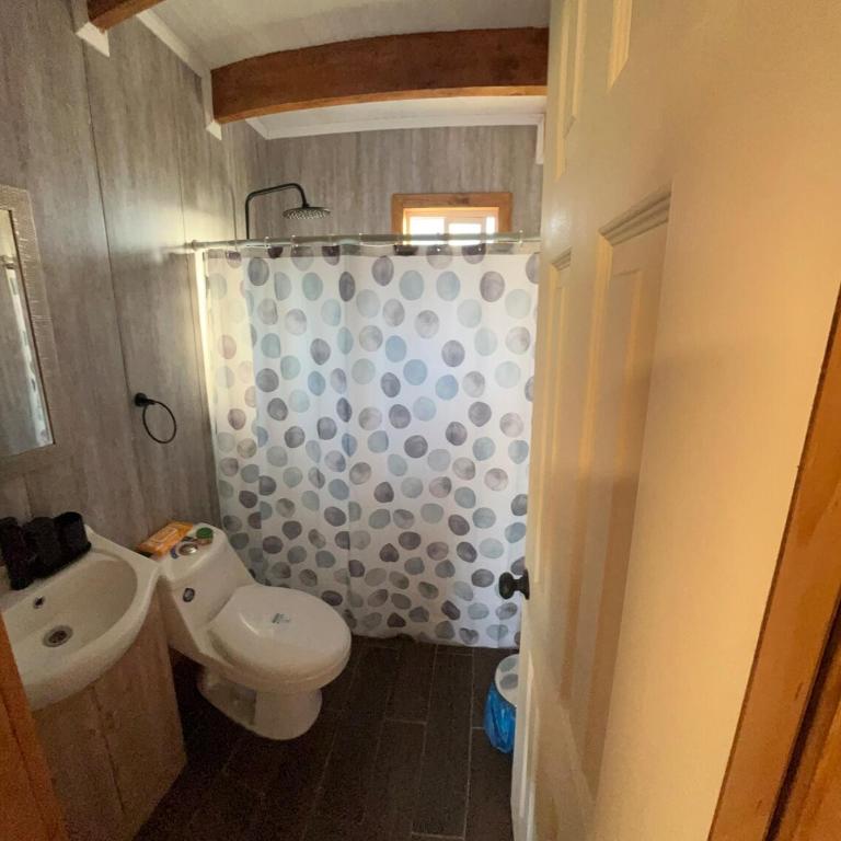 Cabaña Los Coigues - Two-Bedroom House - 11