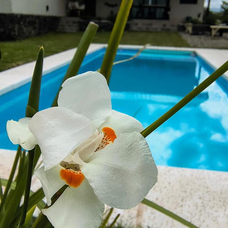 Mutterstern Chalet Boutique - Chalet de 3 dormitorios - 15