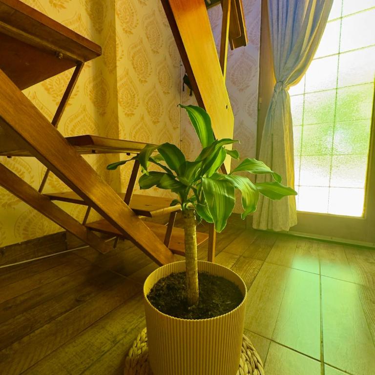 Loft Helena - acogedor, completo y céntrico - Apartamento de 1 dormitorio - 25