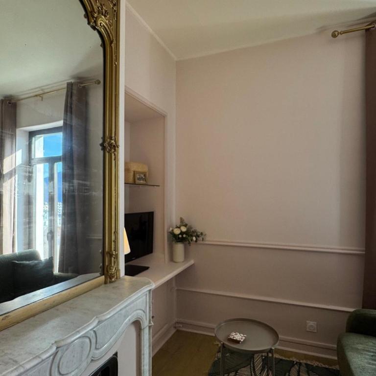 Rénovation 2025 : T1 bis dans ancien palace Art Déco, animaux admis - FR-1-555-112 - Apartment - 16