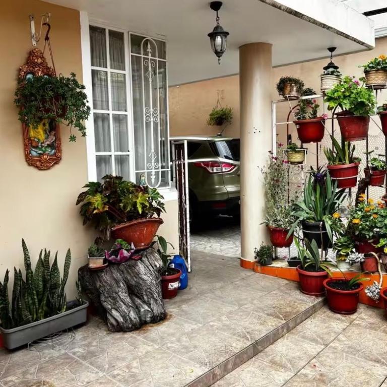 Alojamiento de Cris - One-Bedroom Apartment - 15