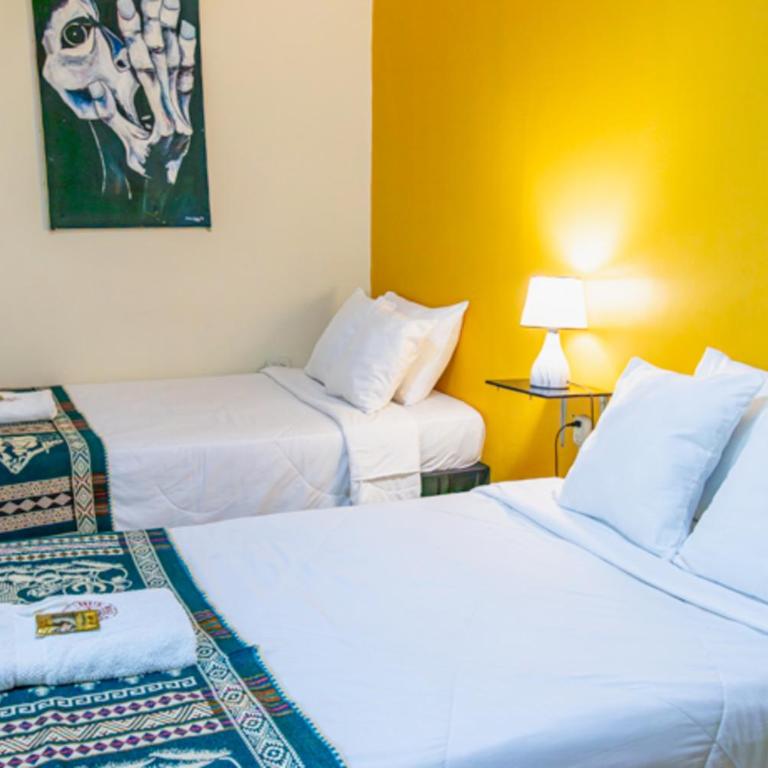Back Packer - Double Room with Two Double Beds - 7