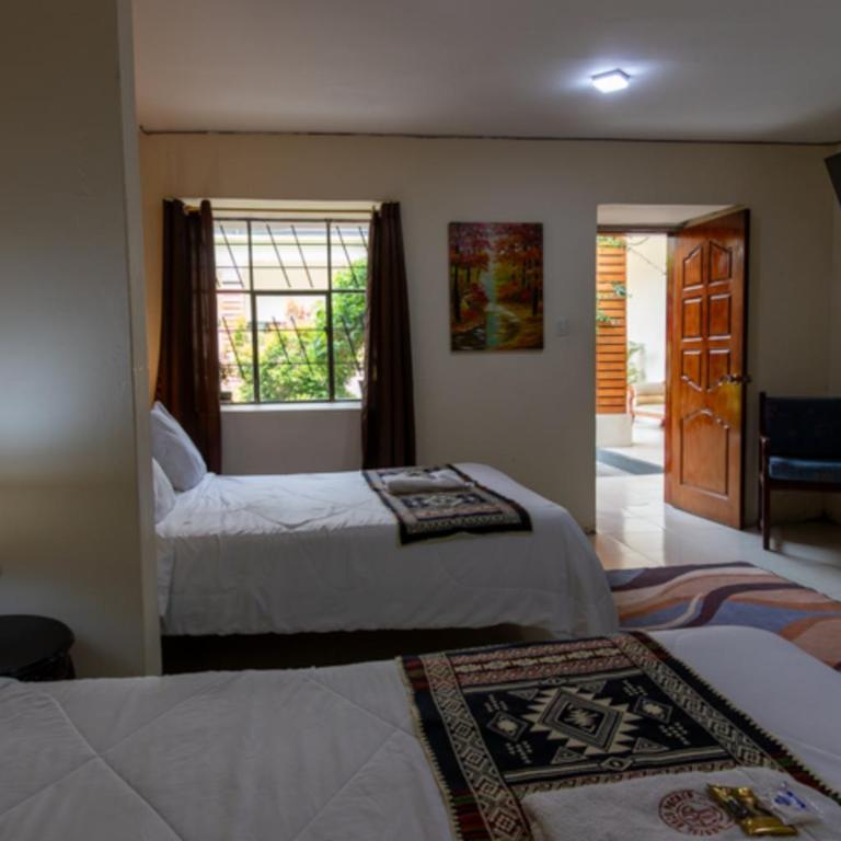 Back Packer - Twin Room - 9
