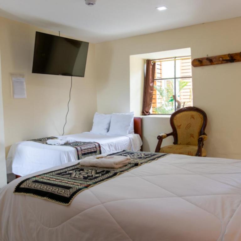 Back Packer - Twin Room - 10