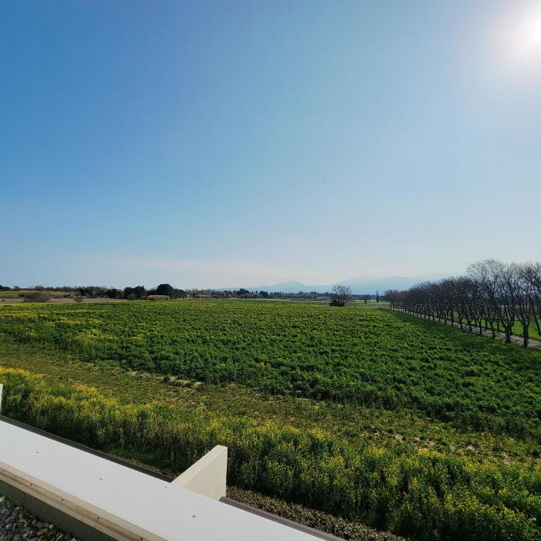 Saint Cyprien - Appartement T3 pour 6 pers. - Piscine collective, Terrasse, Parking - FR-1-309-357 - Appartamento - 8